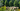 Outdoor Plants Header 