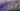 Sun Perennials Header