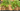 Teak Planter Header