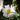 Anemone 'Whirlwind' (Windflower)