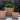 Belize Planter in Terracotta 1