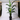 BirdofParadise14in