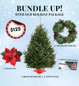 Holiday Bundle