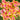 Coleus Trailing Red1