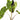 Elephant Ears Mojito