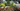 Commercial Services Header