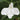 Lobelia White