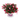 Fuchsia Bella Evita Up