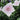 Platycodon 'Astra White' (Balloon Flower)