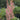 Astilbe 'Visions in Pink'