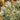 Devil's Backbone1
