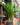 Dracaena 'Tarzan'