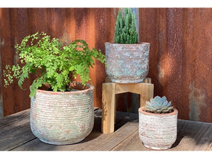 English Tumbled Pots in Cottage Green