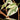 Ficus Benjamina El Dorado