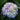 Hydrangea macrophylla Let's Dance® 'Blue Jangles®'  (Mophead Hydrangea)