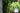 Hanging_Basket_Sale