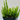 Heather Calluna Skyline Miami