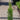 Ilex 'Skyline™' (Columnar Holly)