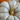 Jarrahdale Pumpkin