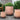 Lisi Planter in Terracotta