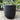 Large Matte Black Egg Pot With Saucer 14