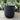 Large Matte Black Egg Pot With Saucer 15