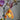 Orchid Psychopsis 1