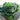 Ornamental Cabbage 'Pigeon' White