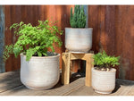 English Tumbled Pots in Heirloom White