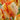 Tulip Parrot 'Parrot King' Bulbs
