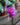 Phalaenopsis Orchid (Moth Orchid)
