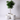 Large Matte White Egg Pot With Saucer