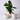 Medium Matte White Cylinder With Saucer