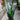 Sansevieria 'Whitney'