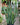 Sansevieria 'Zeylanica' (Snake Plant)