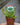 Sarracenia (Pitcher Plant)