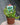 Sarracenia (Pitcher Plant)