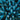 Senecio Blue Fingers t