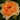 Shrub Rose 'At Last®'