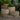 Vari Antico Terra Cotta Planter