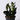 Zamioculcas zamiifolia 'Raven' (ZZ 'Raven')