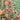 hummingbird mint mandarin kudos agastache