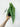 Alocasia Dragon's Breath