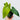 Anthurium papillilaminum x nigrolaminum 'Gigi'