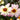Coreopsis Nova™ 'Jewel' (Tickseed)