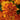 Marigolds
