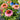 Echinacea Sunseekers® 'Rainbow' (Coneflower) CNT
