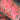 Aglaonema Wishes BNKS