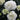 White Hydrangea Florist-Grade