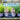 Lavandula 'SuperBlue' (English Lavender) CNT